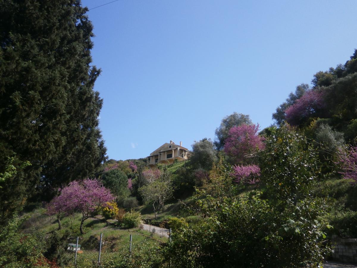 Slope & Stone Cozy House Villa Varypatádes Dış mekan fotoğraf